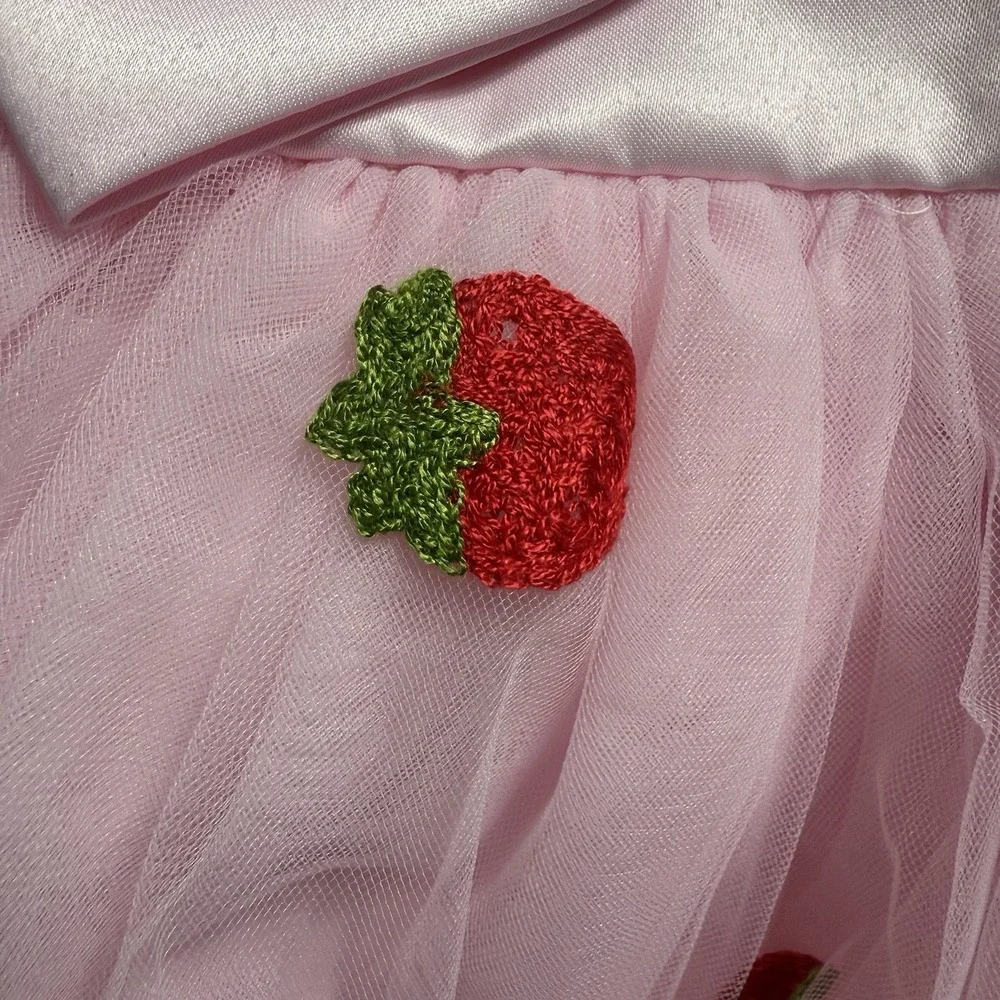Infant Baby Girl Strawberry Tulle Tutu Dress Pink Satin Bow Birthday Pageant